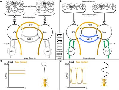 Production of adaptive movement patterns via an insect inspired spiking neural network central pattern generator